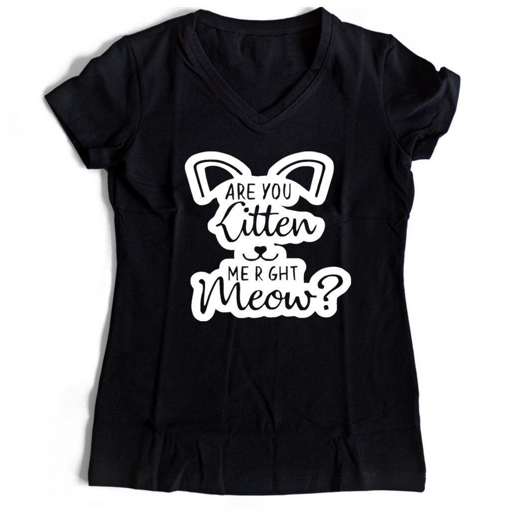 Are You Kitten Me Right Meow Go Women’s V-Neck Tee T-Shirt