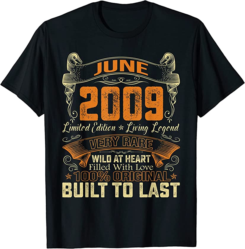 Vintage June 2009 Distressed 12 Years Old 12th Birthday T-Shirt