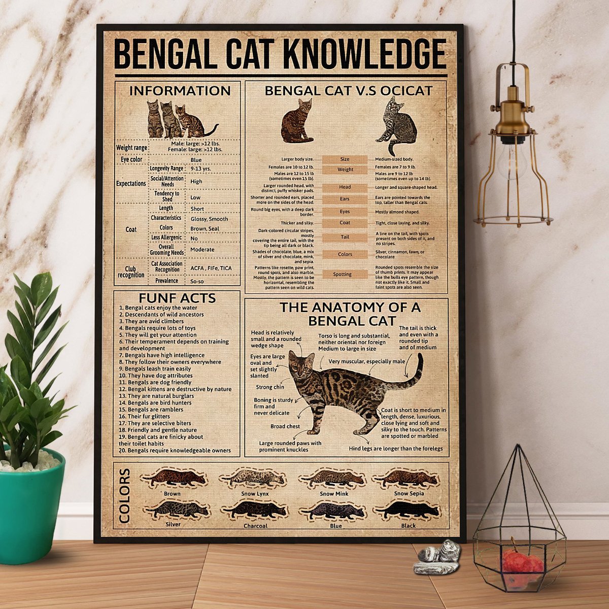 Bengal Cat Knowledge Paper Poster No Frame Matte Canvas Wall Decor