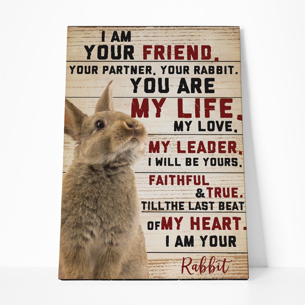 3D I Am Your Rabbit Canvas