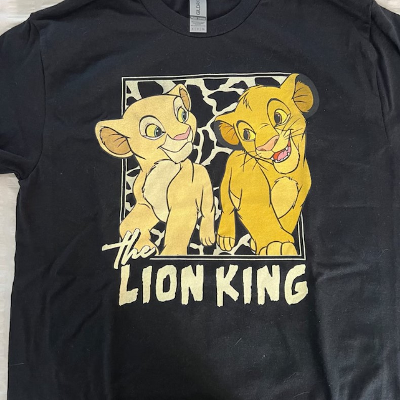 Disney Lion King Simba And Young Nala Hakuna Matata Retro Magic Kingdom Shirt Outfit