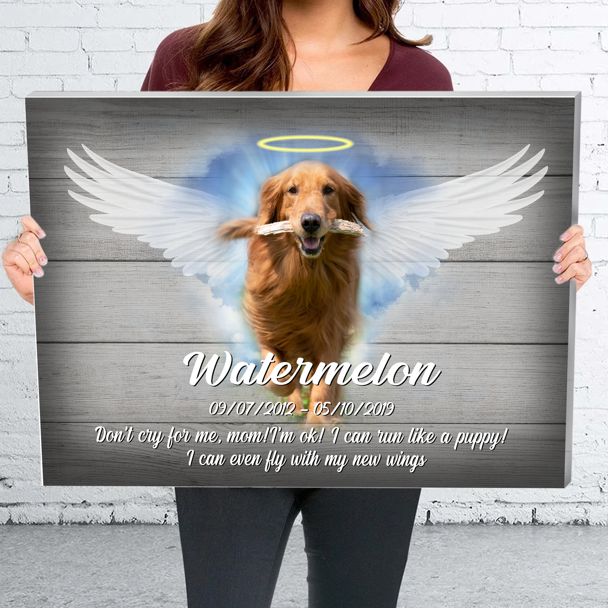 Don’T Cry For Me Mom! I’M Ok!! I Can Run Like A Puppy! Customized  Pet Picture Frame Canvas Poster Memorial Gifts