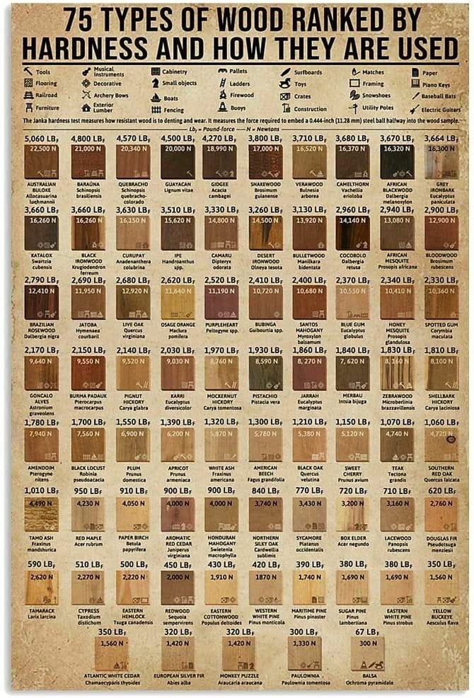 75 Types Of Wood Ranked By Hardness And How They Are Used Guide Carpenter Knowledge Poster  Canvas