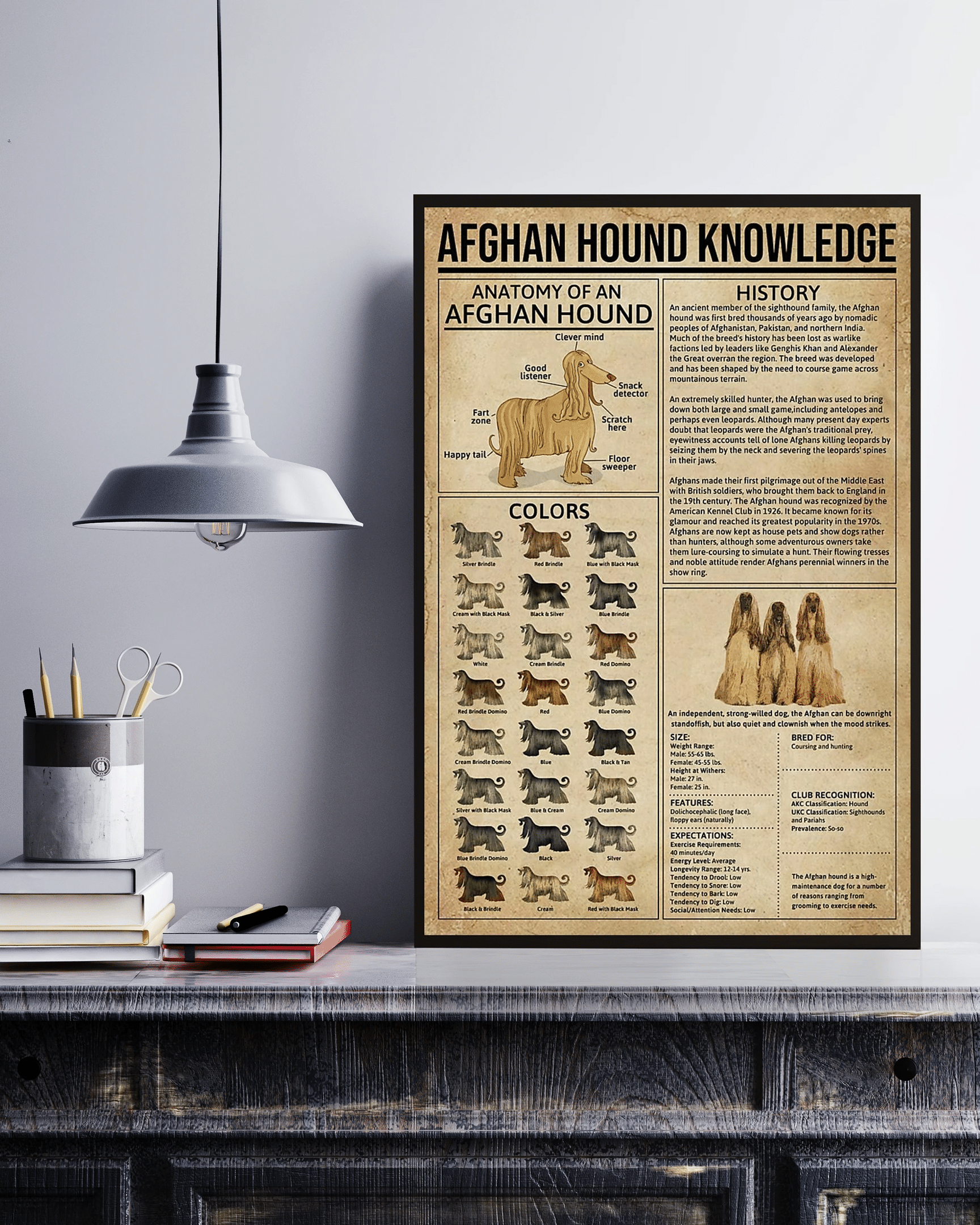 Afghan Hound Knowledge Canvas Poster Wall Art