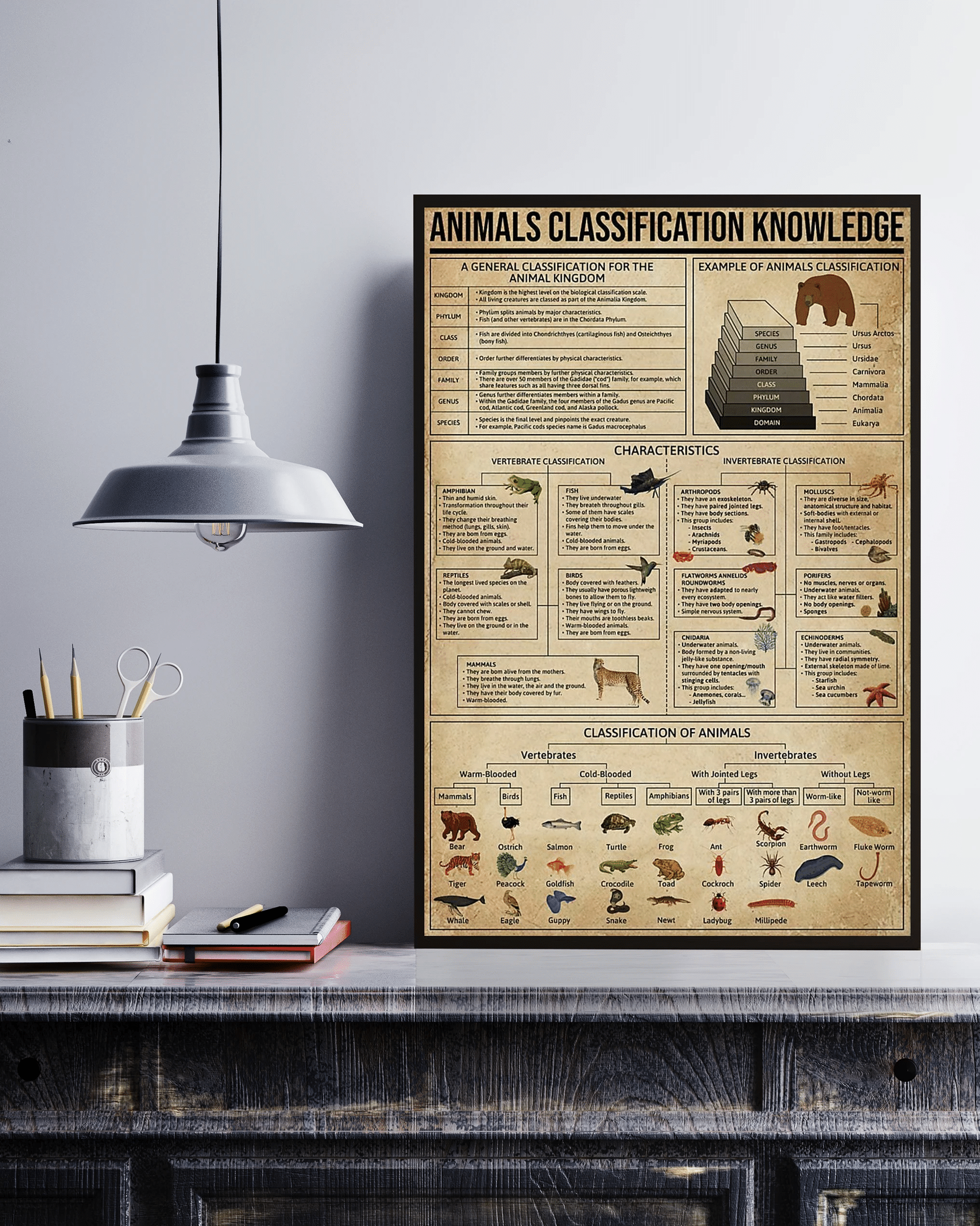 Vibesprints Animals Classification Knowledge Canvas Poster Wall Art