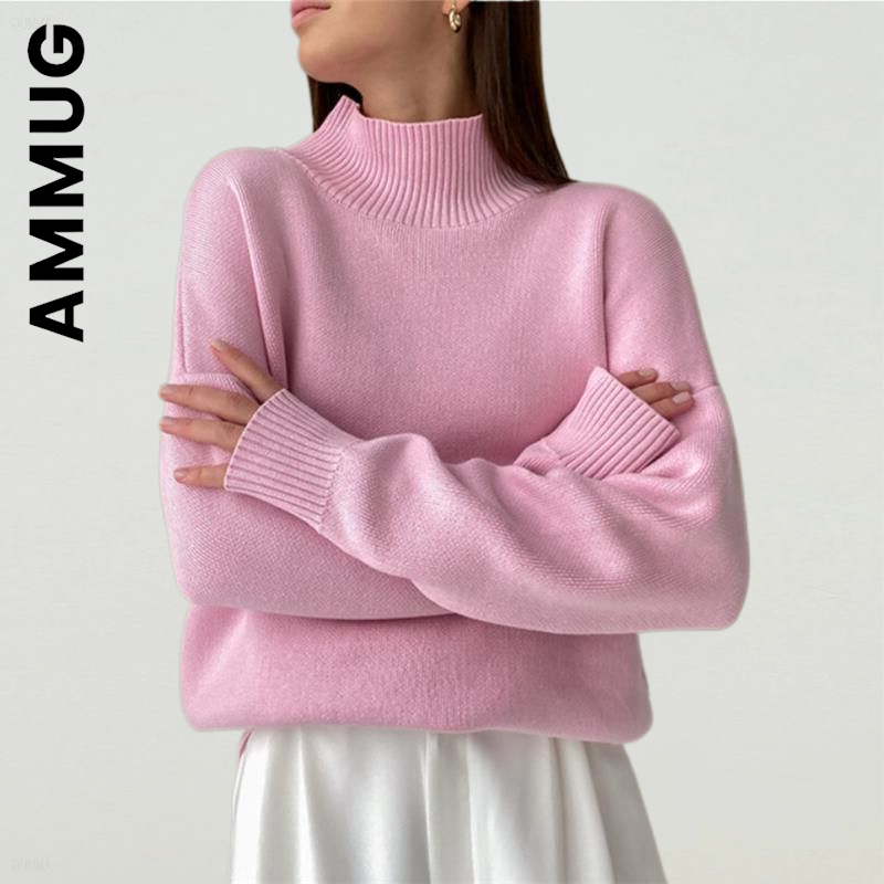 Ammug Knitted Women Sweater Turtleneck New Chic Long Sleeve Women’s Sweater Harajuku Sexy Top Women Basic Simple Woman Sweater alx