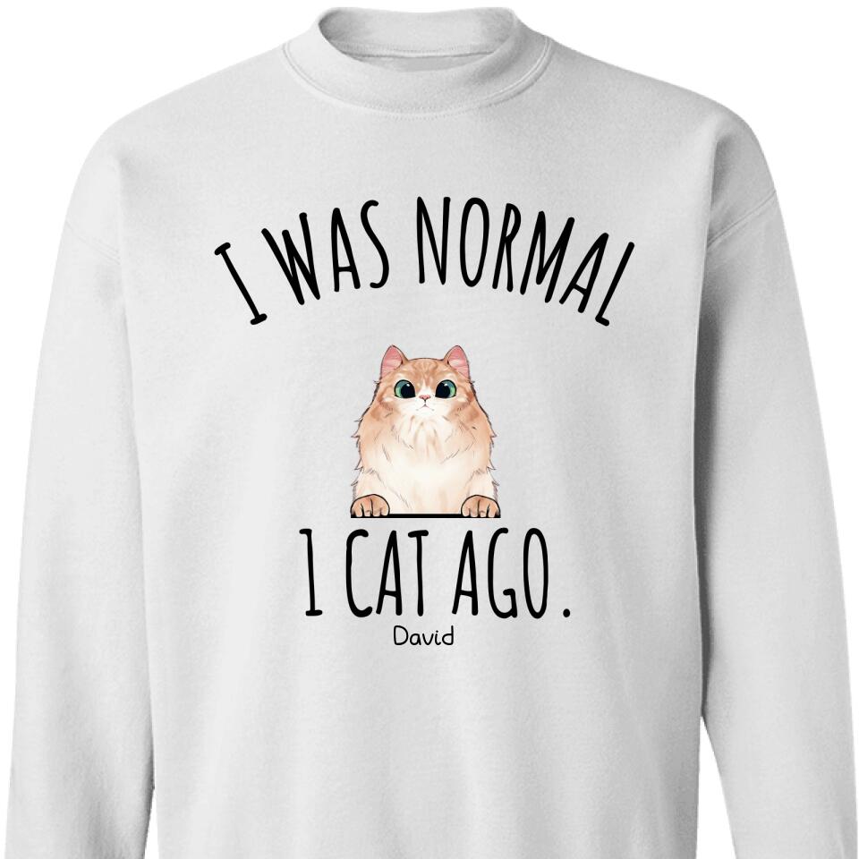 I Was Normal 3 Cats Ago Personalized Sweatshirt – Trending Personalized