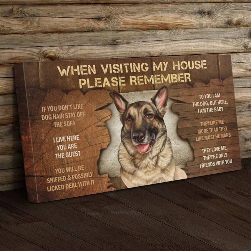 German shepherd Visiting Poster Canvas 312320936