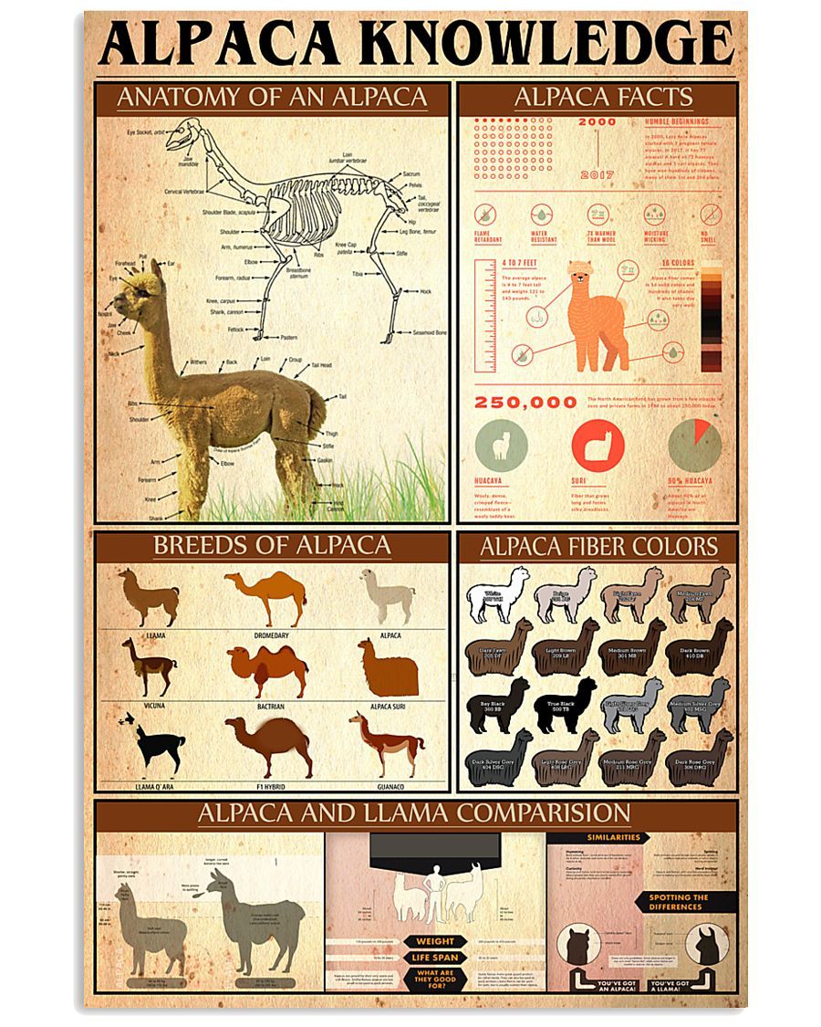 Alpaca Knowledge Vertical Poster