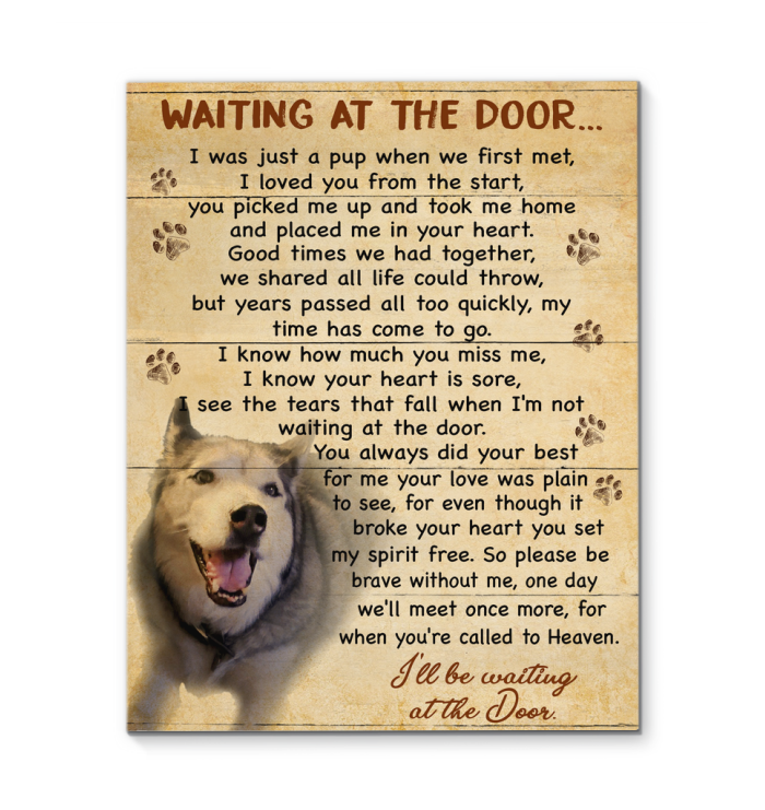 Canvas Ct Waiting At The Door