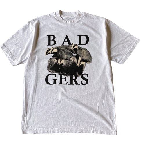 Badgers Tee Shirt Outfit