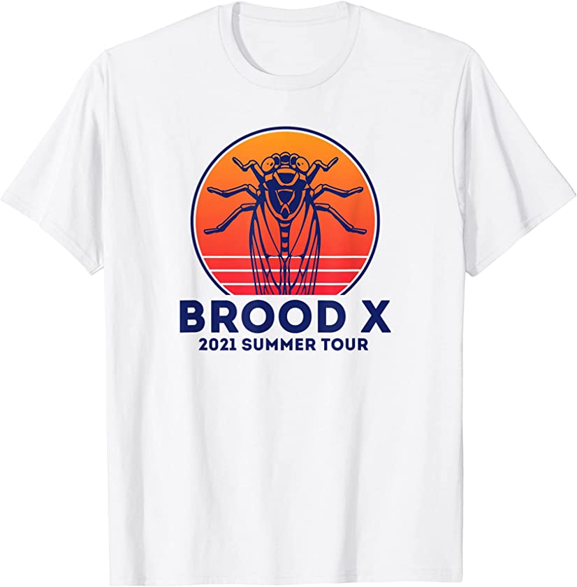 Vintage retro 80s sunset Brood X Cicadas 2021 Summer Tour T-Shirt