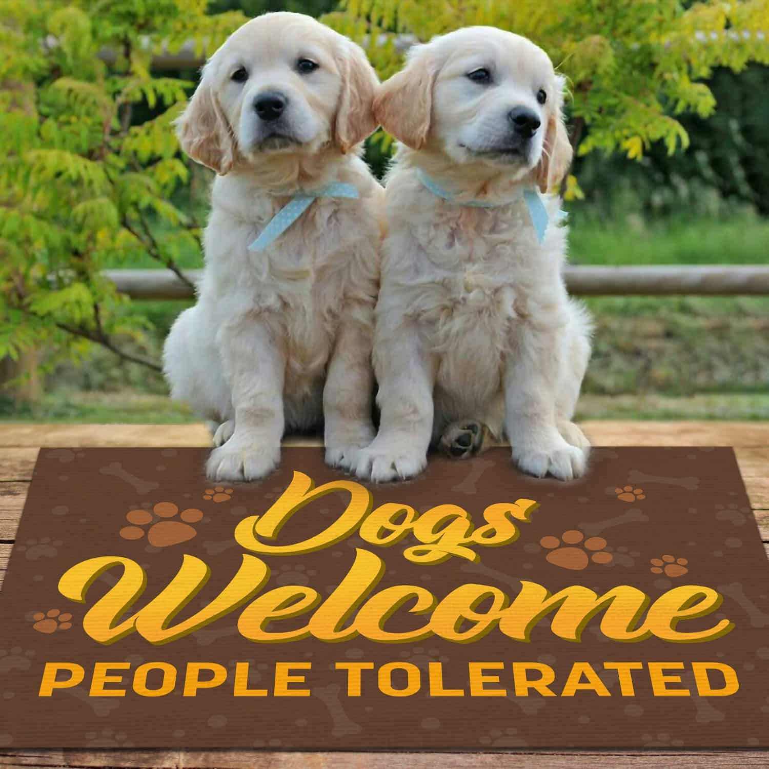 Dogs Welcome People Tolerated Outdoor Indoor Doormat – Welcome Door Mat – Funny Dog Welcome Rug Home Decor Evg43287