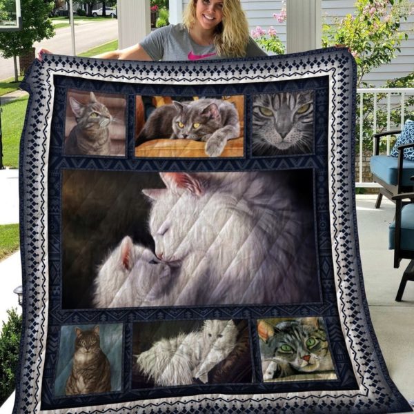 Cat Pets Daily Kitten Quilt Blanket