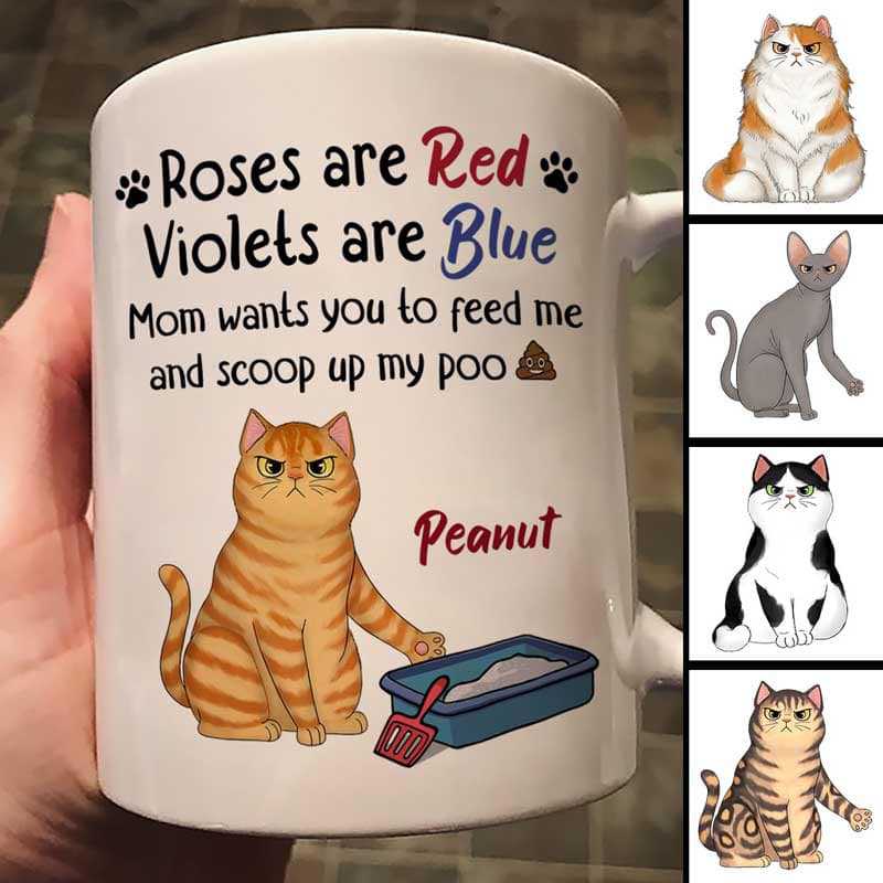 Mom Wants You To Feed And Scoop Up Poo Angry Cats Personalized Mug