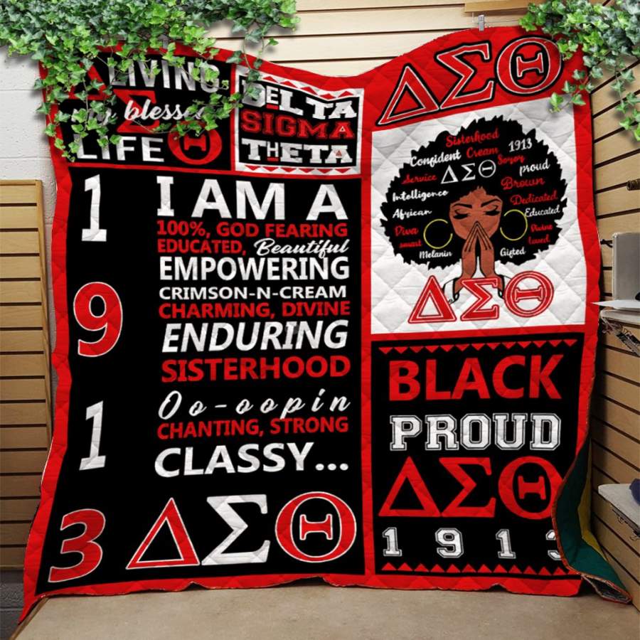 Custom Blanket Delta Sigma Theta Quilt Blanket – Quilt Blanket