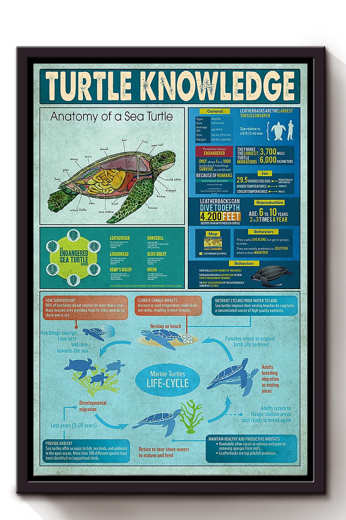 Turtle Knowledge Animal Wall Art For Lab Classroom Decor Framed Matte Canvas