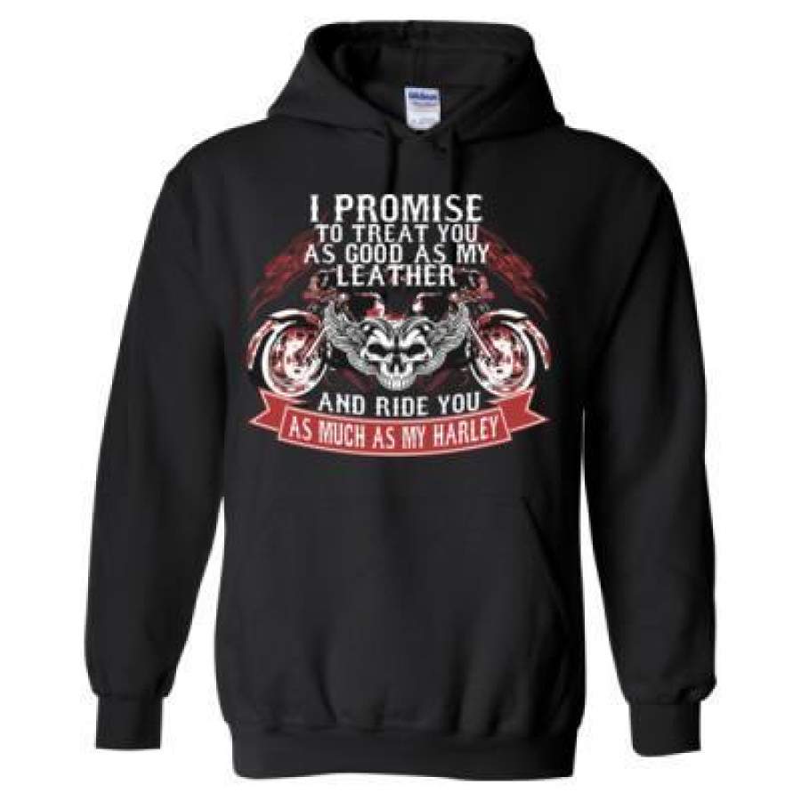 AGR I Promise To Treat You as Good as My Leather And Ride You As Much As My Harley – Heavy Blend™ Hooded Sweatshirt