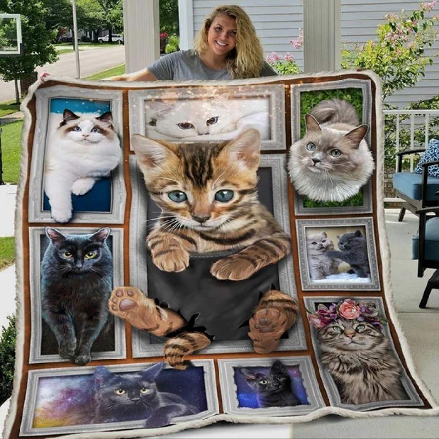 3D HUGE CAT BLANKET V1