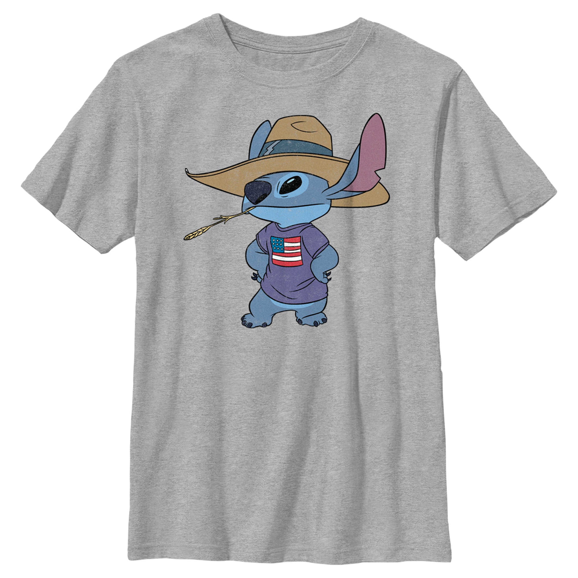 Boy’S Lilo & Stitch American Pride T-Shirt