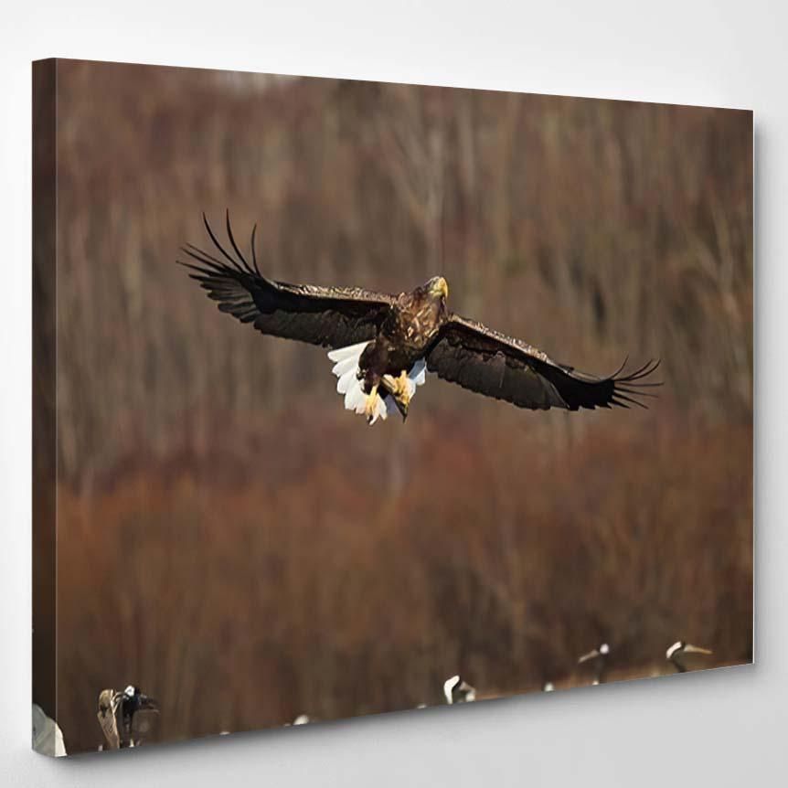 Whitetailed Eagle Flying Above Group Blacknecked 1 – Eagle Animals Canvas Art Wall Decor Christmas Gift Ideas