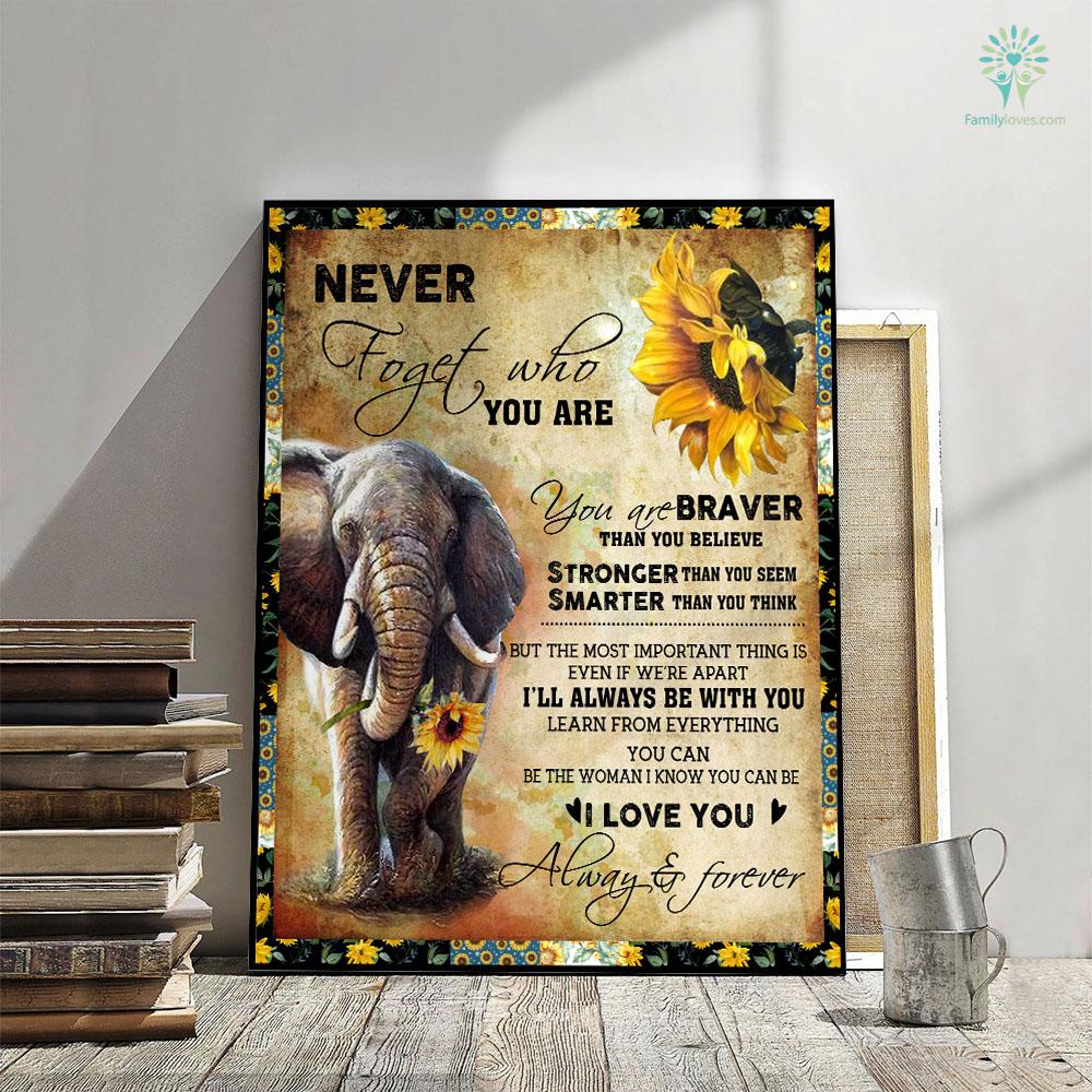 Never Forget Who You Are Elephant Canvas