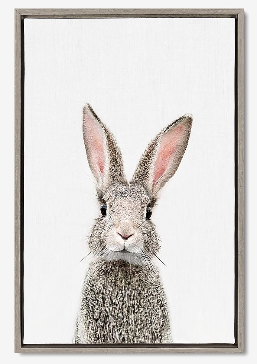 Cute Bunny Animal Wall Art For Rabbit Lover Kid Room Decor Poster