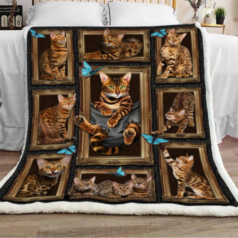 Bengal Cat Sherpa Blanket DCB2601 90O35