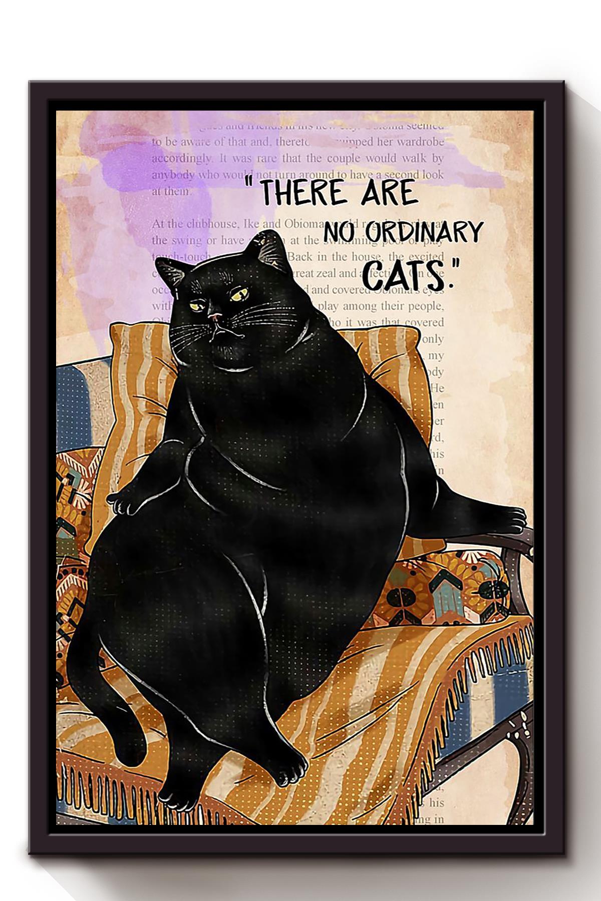 Cat There Are No Ordinary Animal Wall Art Gift For Cat Lover International Cat Day Kitten Foster Framed Canvas