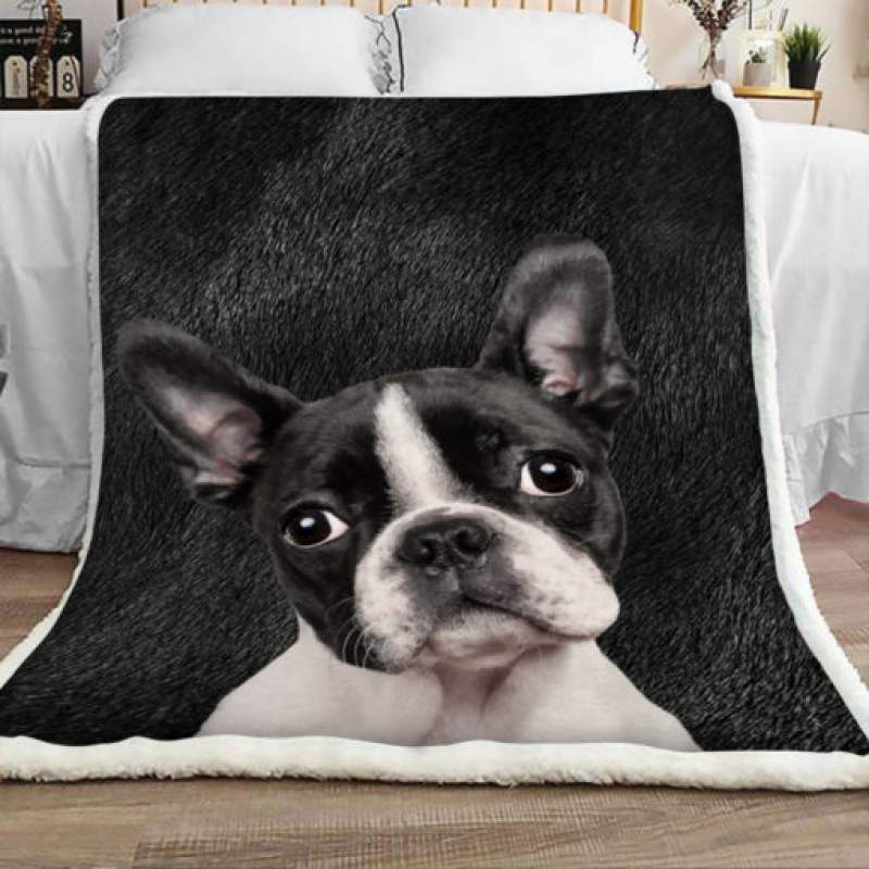 Boston Terrier Dog Sherpa Blanket JR2101 70O51