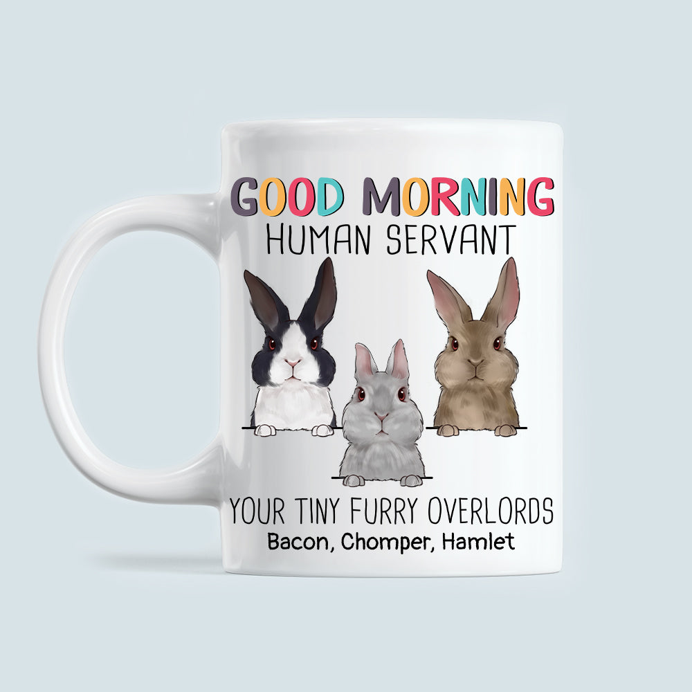 89Customized Good Morning Human Servant Rabbits Personalized Mug