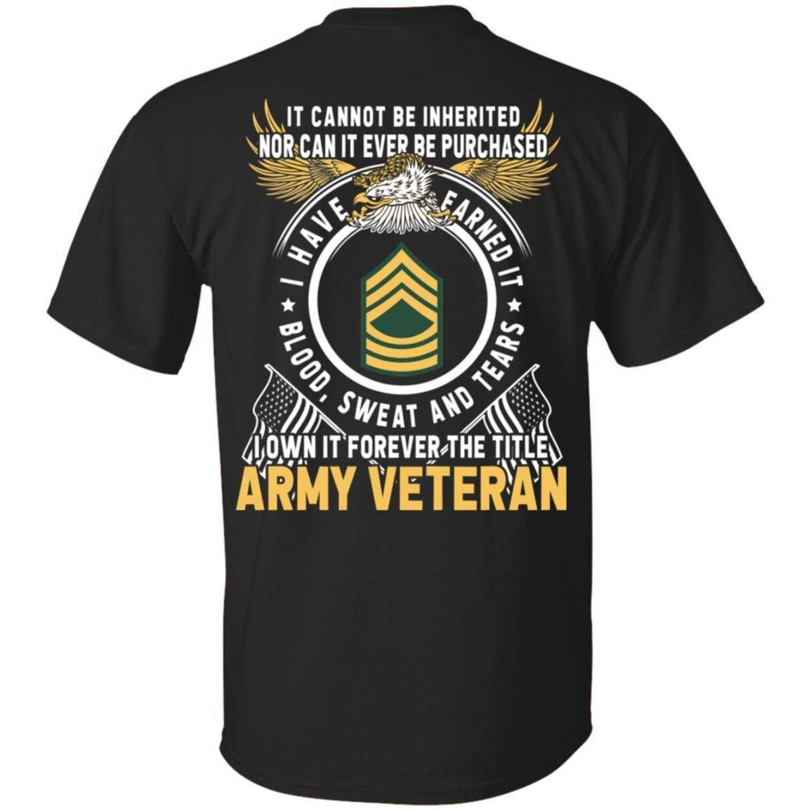 US Army E-8 Master Sergeant E8 MSG Noncommissioned Officer Ranks T ...