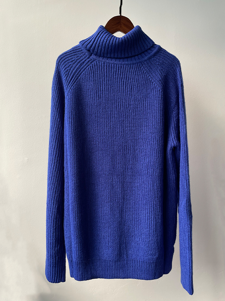 Autumn Winter Women Blue Wool Sweaters 2022 Knitted Turtleneck Casual Basic Pullover Jumper Sweaters alx