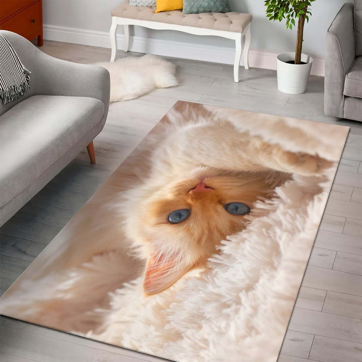 Cats Kittens Snout Glance Area Rug Living room and bedroom Rug Christmas Gift US Decor