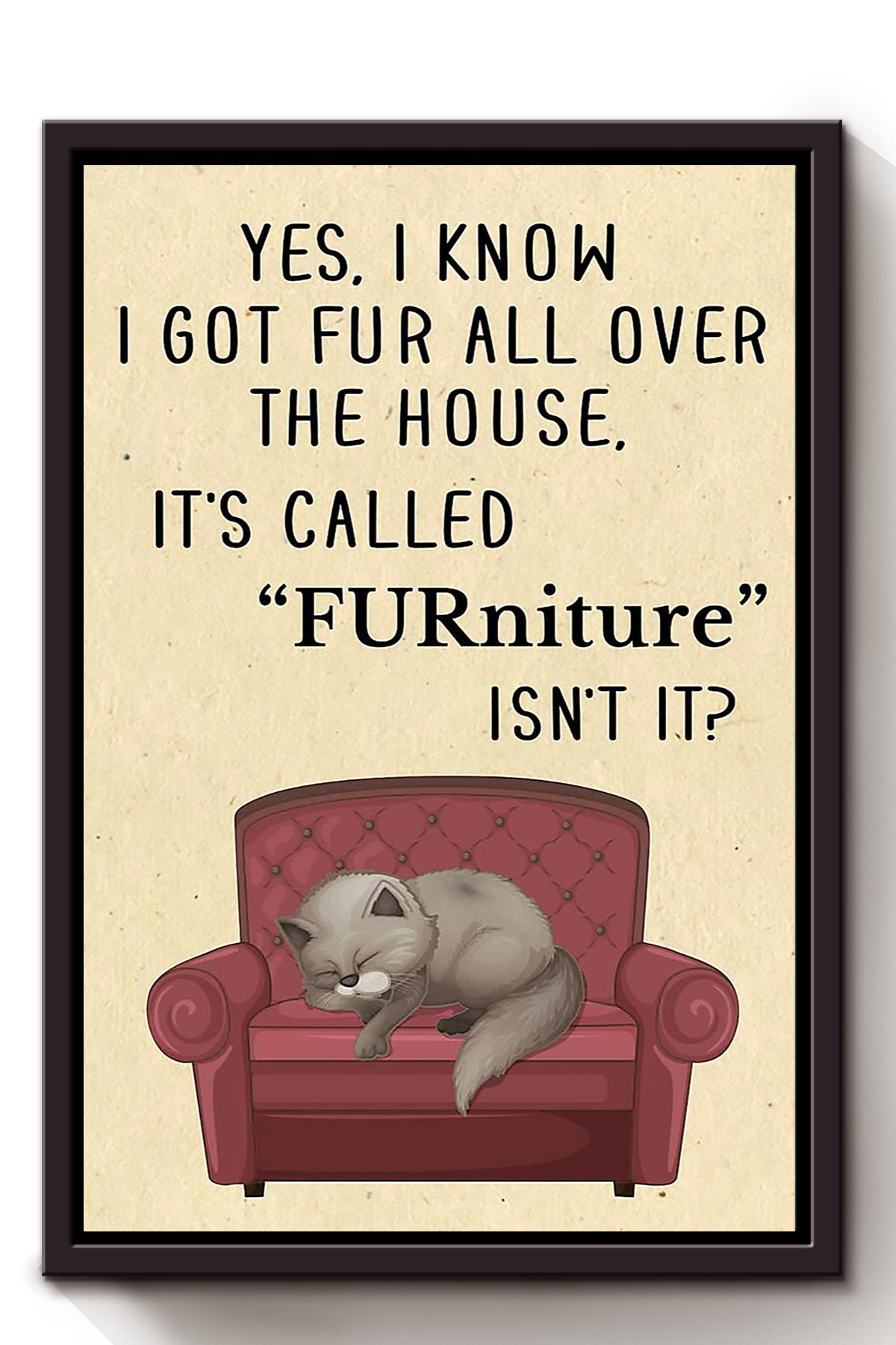 Cat Its Called Furniture Isnt It Animal Wall Art Gift For Cat Lover International Cat Day Kitten Foster Livingroom Decor Framed Canvas