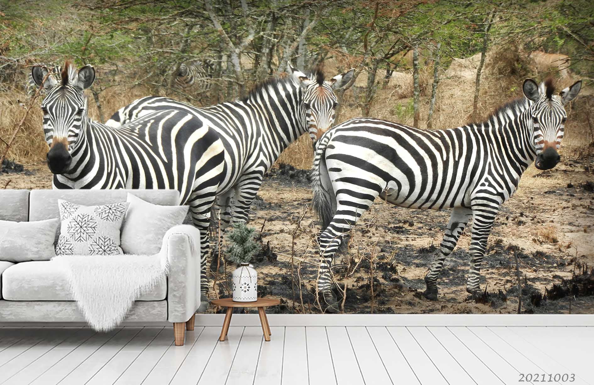 3D Wild Animal Zebra Wall Mural Wallpaper Lqh 542