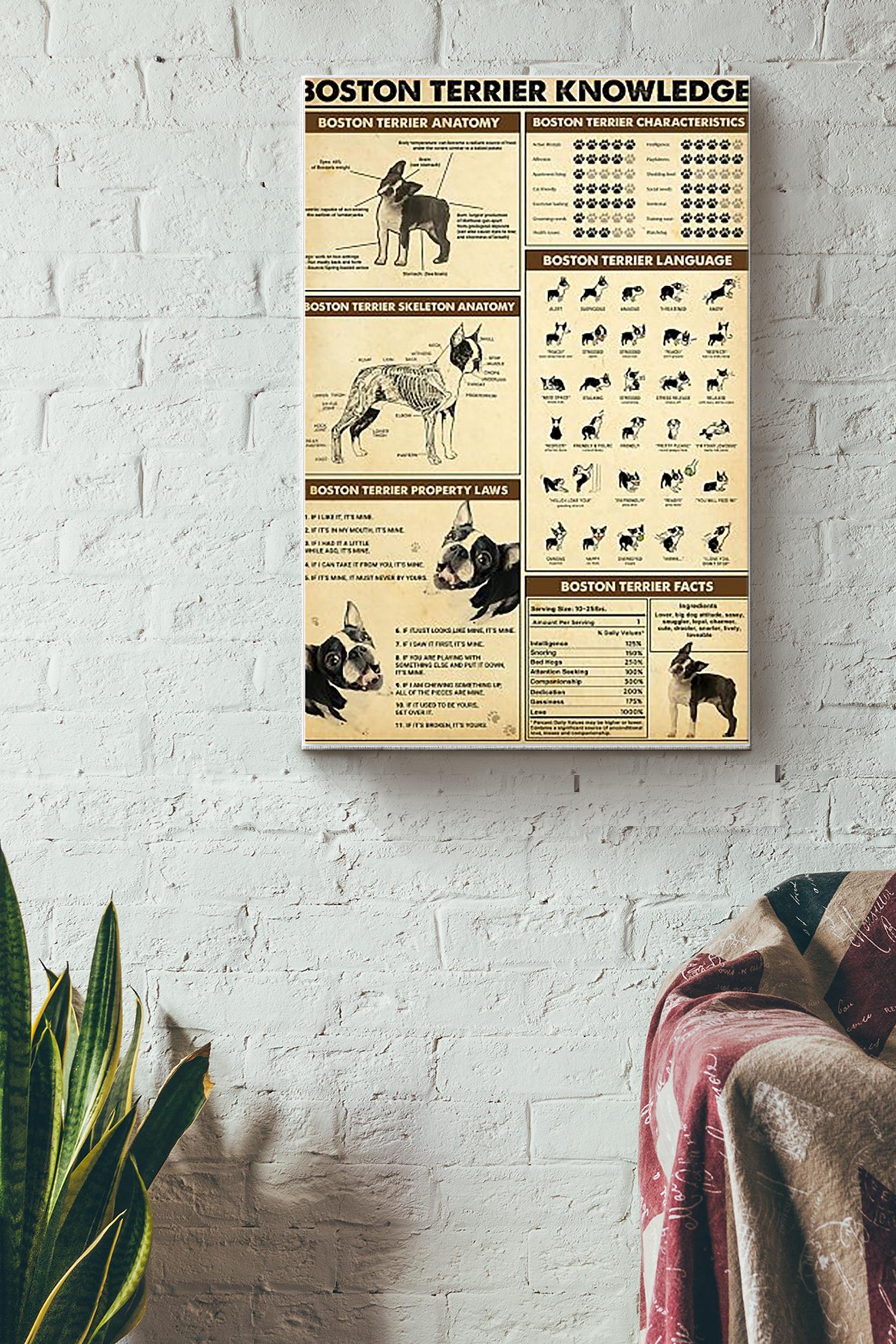 Boston Terrier Knowledge Dogs Breeds Vintage Wrapped Canvas