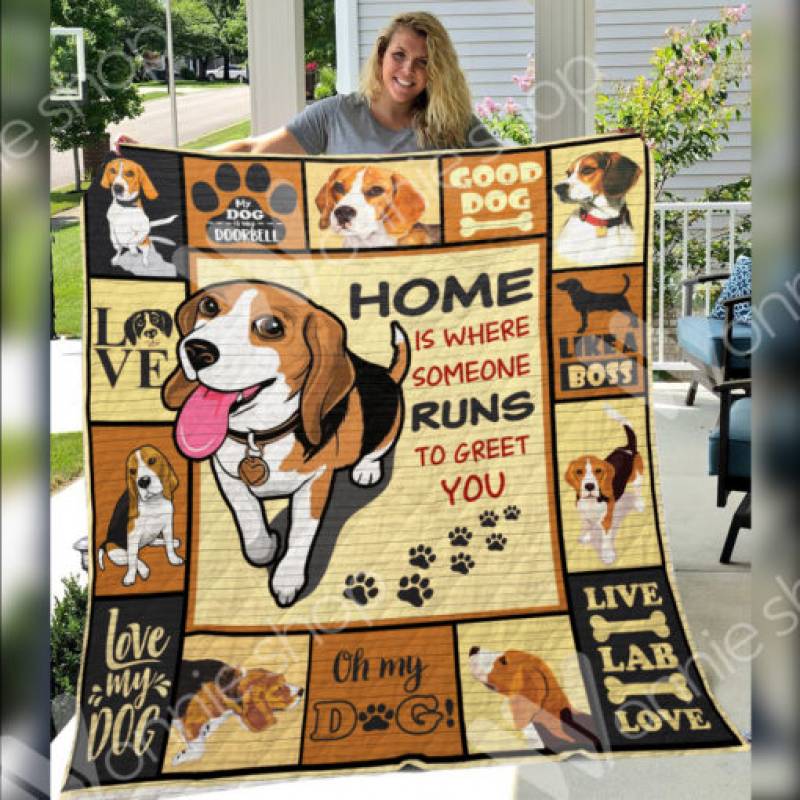 Beagle Dog Blanket DCB2802 67O59