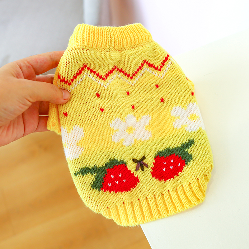 Yellow Dog Sweater Cute Strawberry Knit Autumn and Winter Dog Warm Clothes Teddy Than Bear Two Legs Costume alx