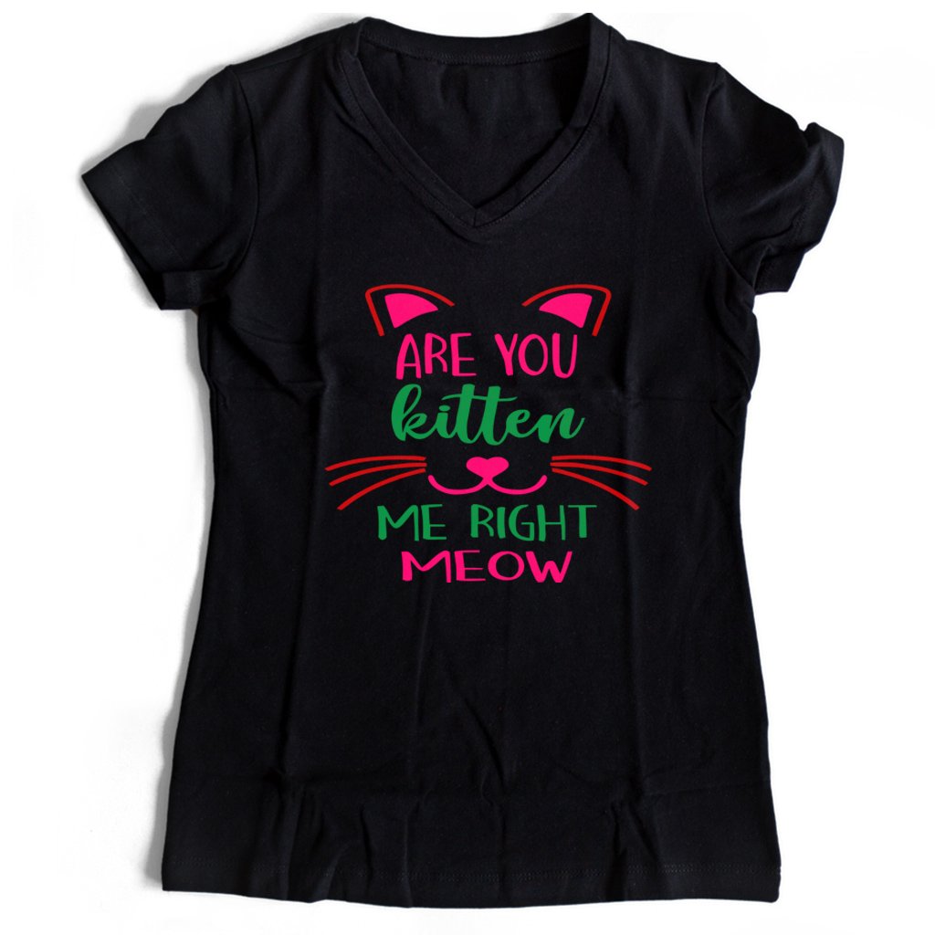 Are You Kitten Me Right Meow Aloen Women’s V-Neck Tee T-Shirt