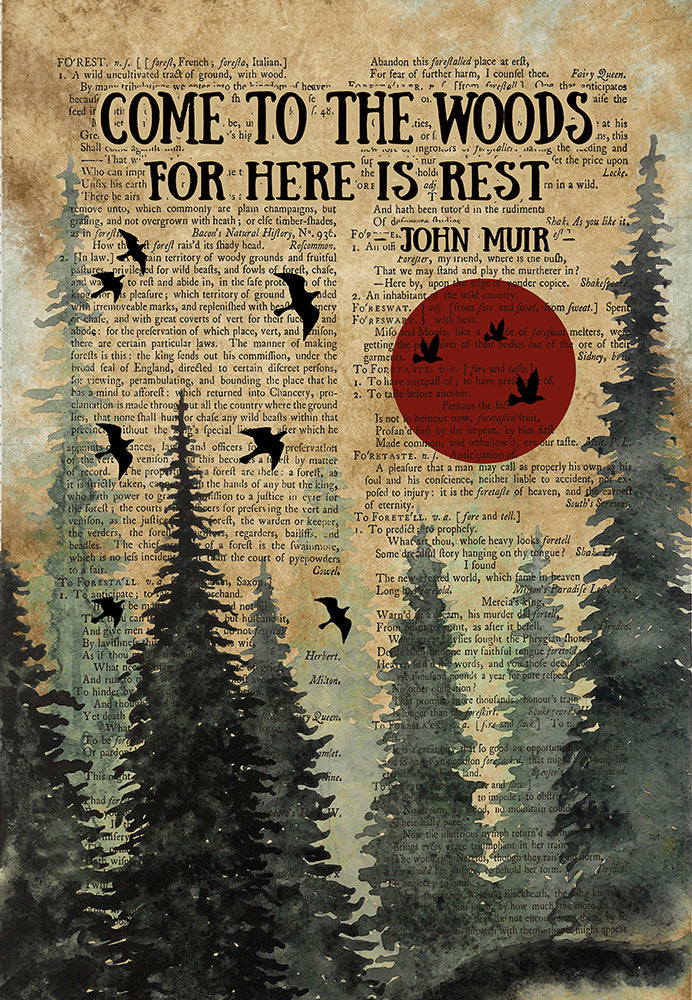 Come To The Woods For Here Is Rest Camper Poster Canvas Wall Art Home Decor  Poster Art Idea  Wall Art Idea