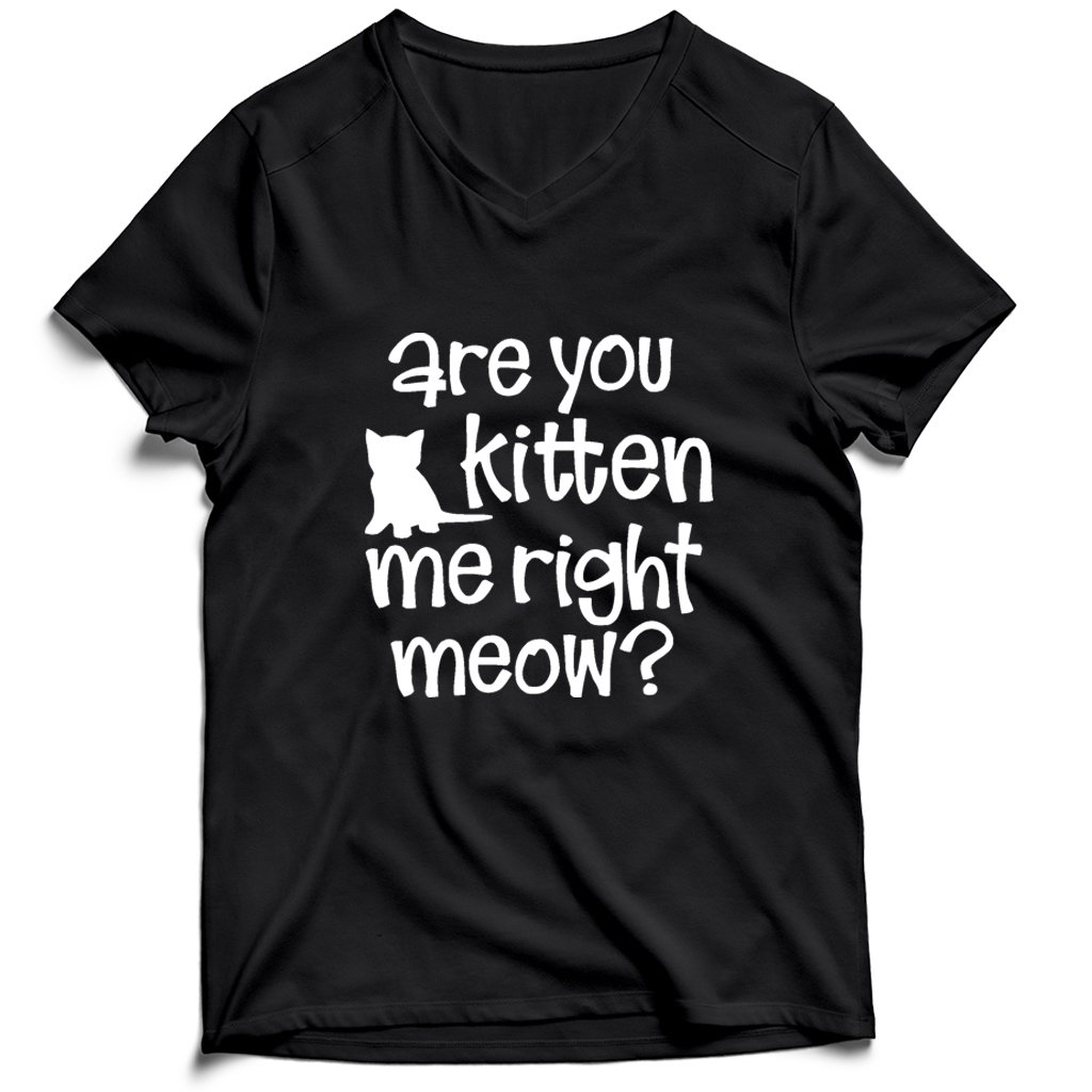 Are You Kitten Me Right Meow Onesie Men’s V-Neck Tee T-Shirt