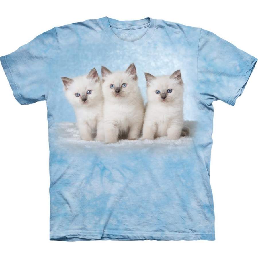 Kittens in Cloud Kids T-Shirt