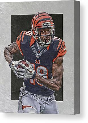 Aj Green Cincinnati Bengals Art Joe Hamilton Canvas Print