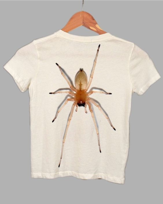 Big Spider T-Shirt