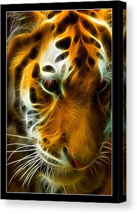 Turbulent Tiger Ricky Barnard Canvas Print