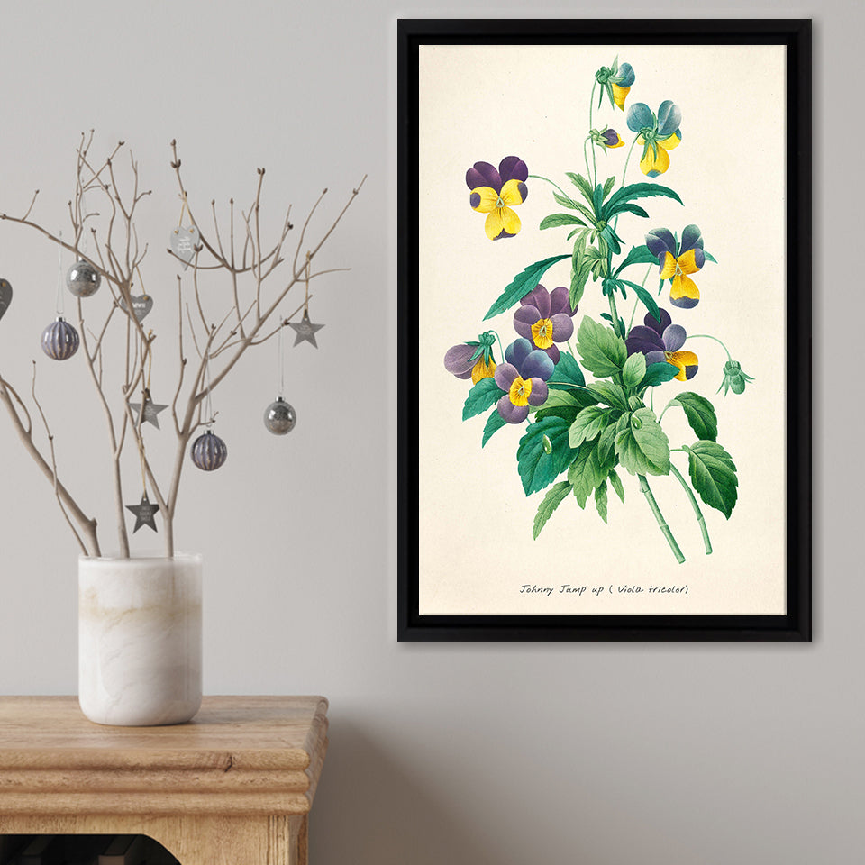Viola Tricolor Framed Canvas Print – Canvas Painting, Canvas Art, Wall Art, Wall Decor