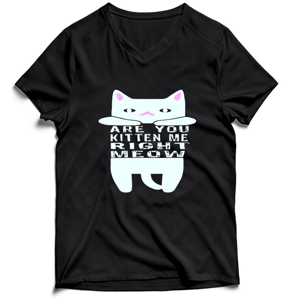 Are You Kitten Me Right Meow Home Men’s V-Neck Tee T-Shirt