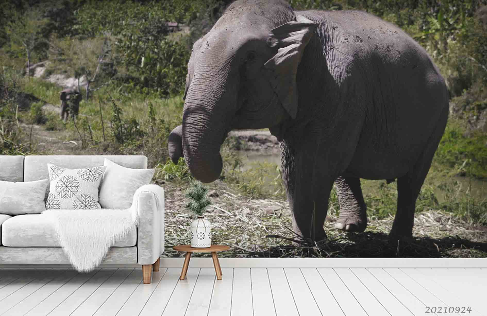 3D Nature Jungle Animal Elephant Wall Mural Wallpaper Lqh 654