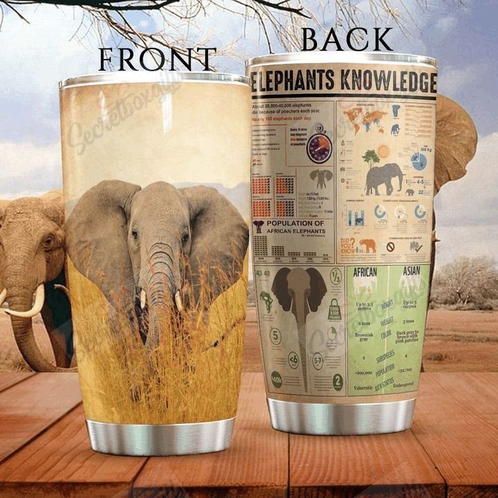 Personalized Elephant Knowledge Gs-Cl-Ml0604 Stainless Steel Tumbler Travel Customize Name, Text, Number, Image